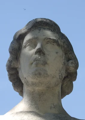 Portrait of Théodore Caruelle d' Aligny