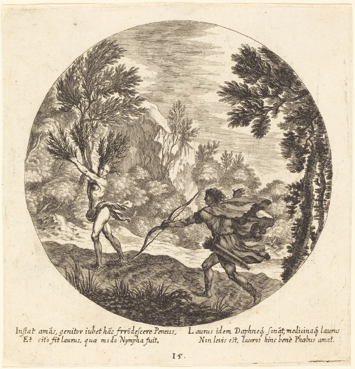 Daphne Turning to a Laurel by Georg Andreas Wolfgang, portfolio, 1631-1716