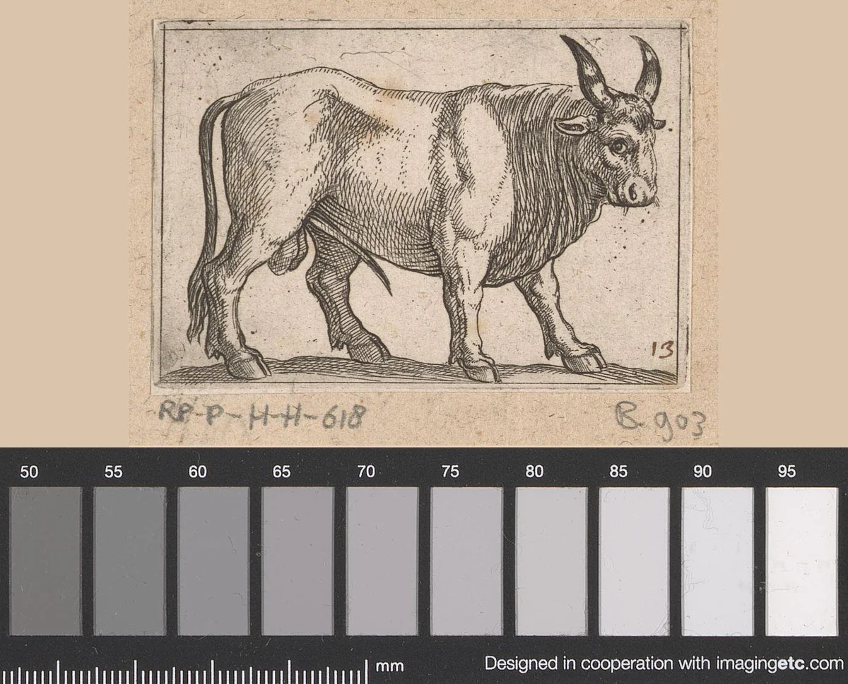 Staande os by Antonio Tempesta, print, 1565-1630