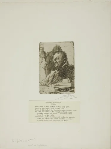 Theodore Roosevelt by Anders Zorn, print, 1905