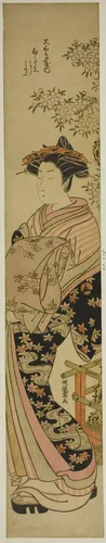 The Courtesan Shirotae of the Okanaya by Isoda Koryusai, print, 1771-1786