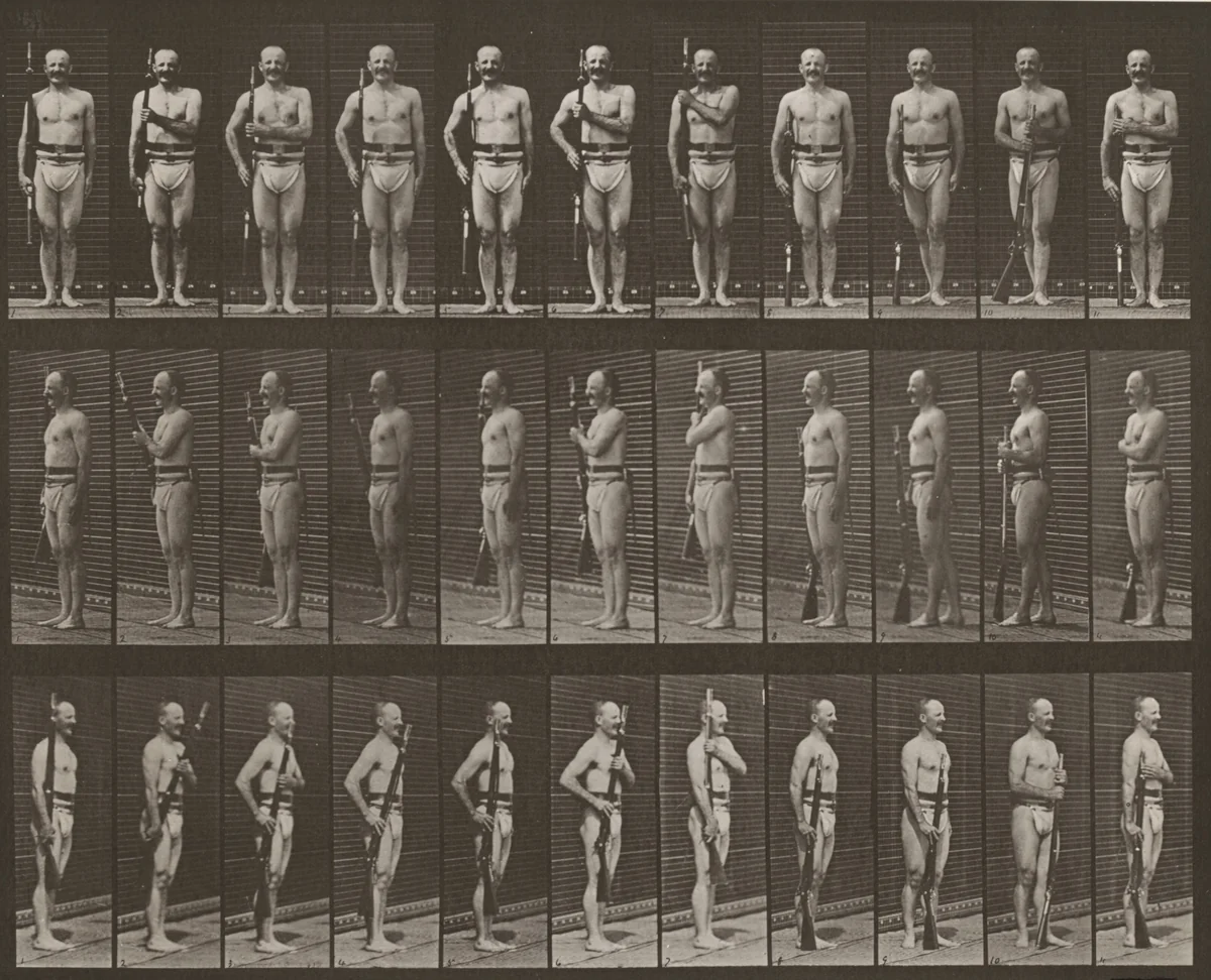 Plate Number 354. "Carry arms," "parade rest" and "trail arms" by Eadweard Muybridge, photograph, 1887