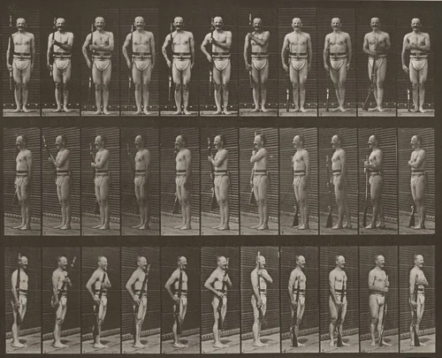 Plate Number 354. "Carry arms," "parade rest" and "trail arms" by Eadweard Muybridge, photograph, 1887