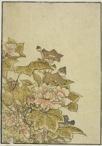 Autumn Flowers: Peonies and Bellflowers, from the book "Mirror of Beautiful Women of the Pleasure Quarters (Seiro bijin awase sugata kagami)," vol. ２ by Katsukawa Shunsho (勝川 春章), print, 1776