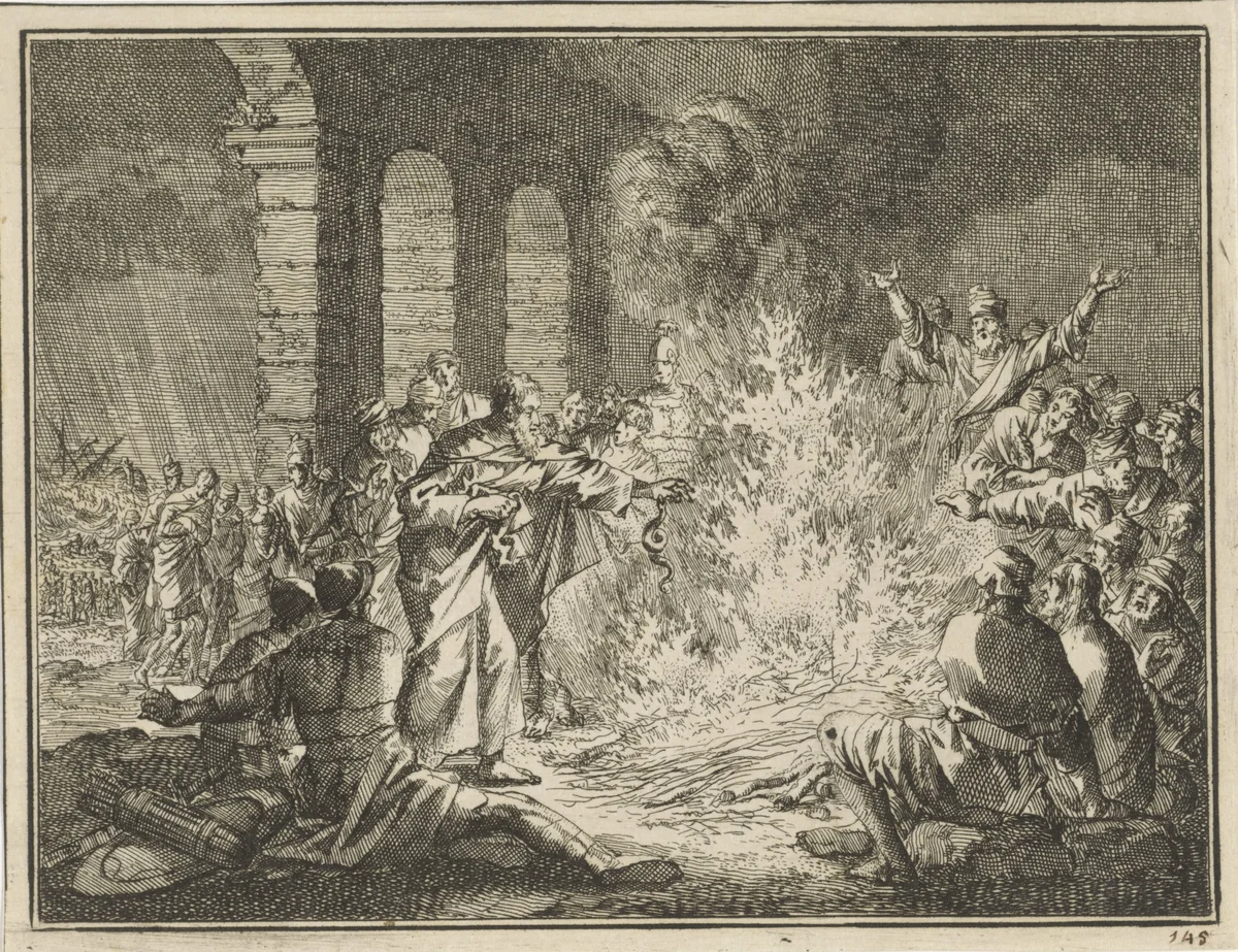 Paulus door een adder in de hand gebeten by Jan Luyken, print, 1712