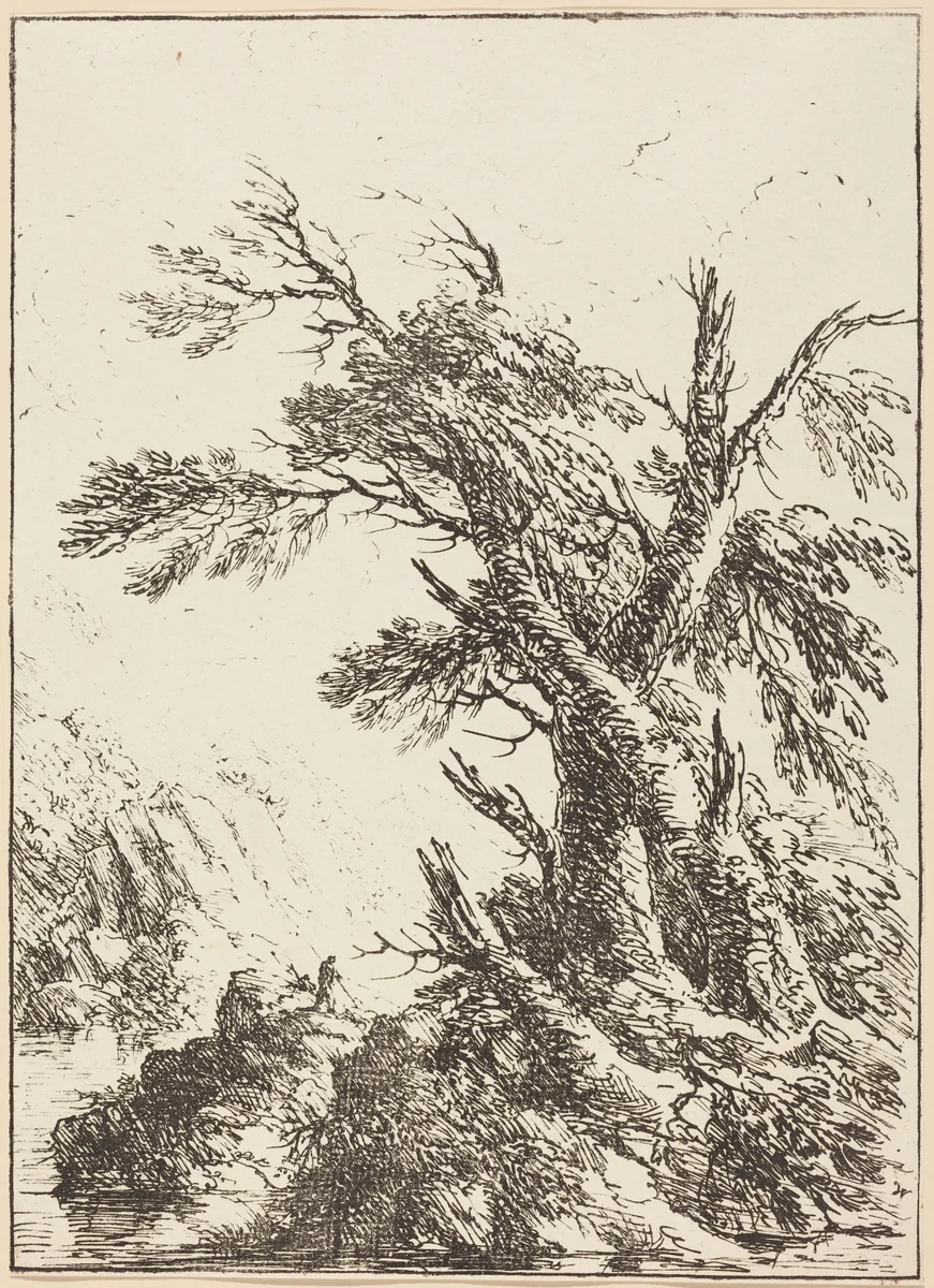 Landscape with Old Trees by Water by Henry Richard Greville, print, 1803