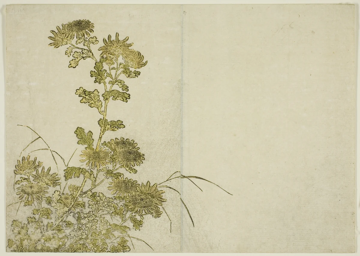 Winter Flowers: Chrysanthemums, from the book "Mirror of Beautiful Women of the Pleasure Quarters (Seiro bijin awase sugata kagami)," vol. 1 by Katsukawa Shunsho (勝川 春章), print, 1776