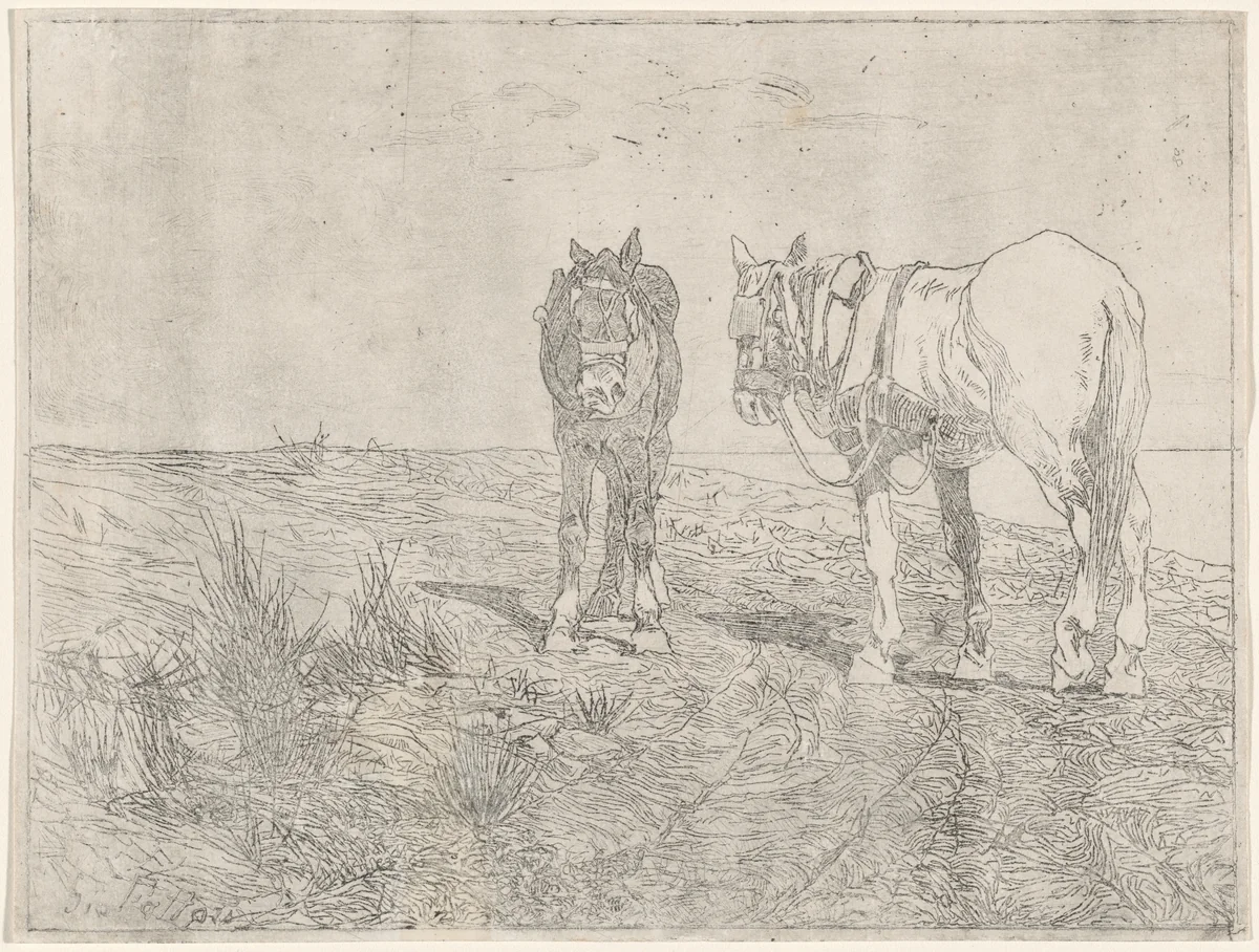 a) Horses at Rest (recto); b) Horses at Rest (verso) (Sosta di cavalli) by Giovanni Fattori, print, 1850-1900