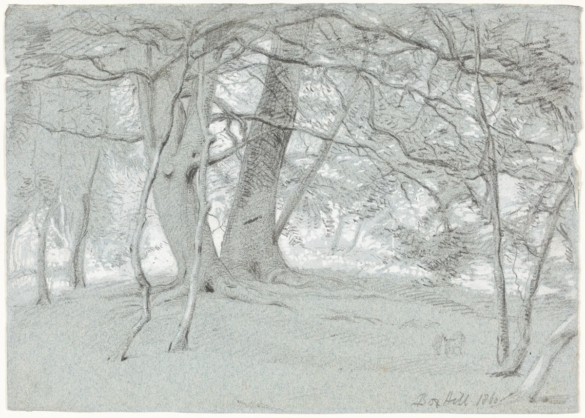 Trees at Box Hill by William Blake Richmond, drawing, 1860