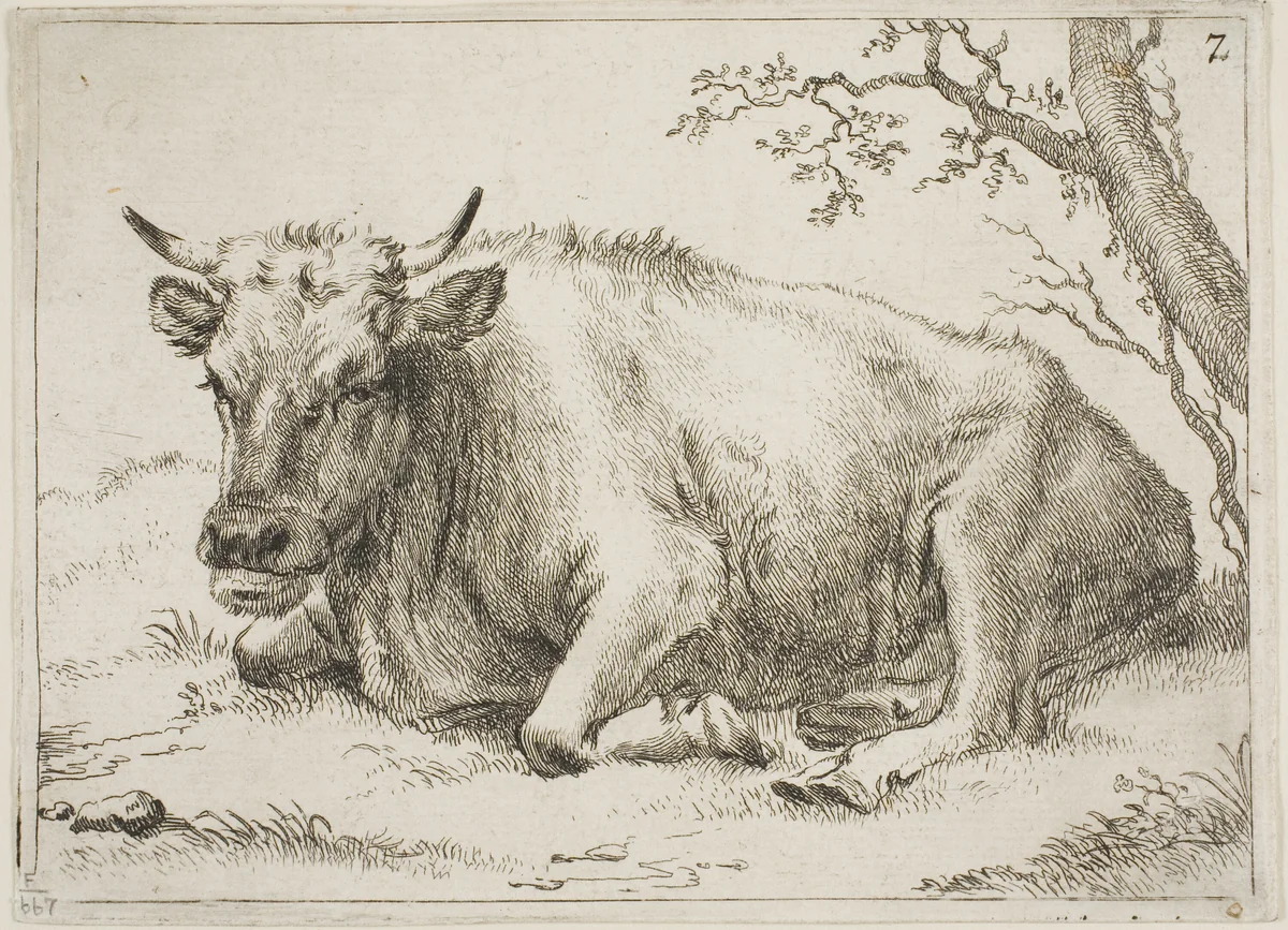 Cow Lying Beside a Tree, plate 7 from Eight Bulls and Cows by Paulus Potter, print, 1645-1654