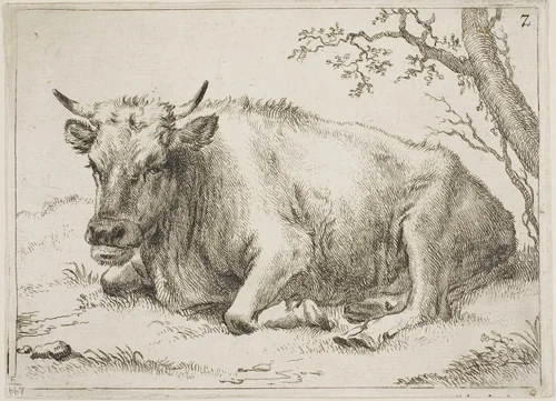 Cow Lying Beside a Tree, plate 7 from Eight Bulls and Cows by Paulus Potter, print, 1645-1654