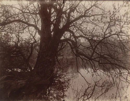 Ville d'avray. Étang by Eugène Atget, photograph, 1925