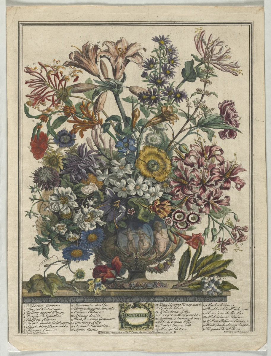 Twelve Months of Flowers: October by Henry Fletcher, print, 1730