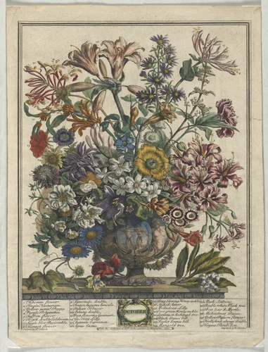 Twelve Months of Flowers: October by Henry Fletcher, print, 1730