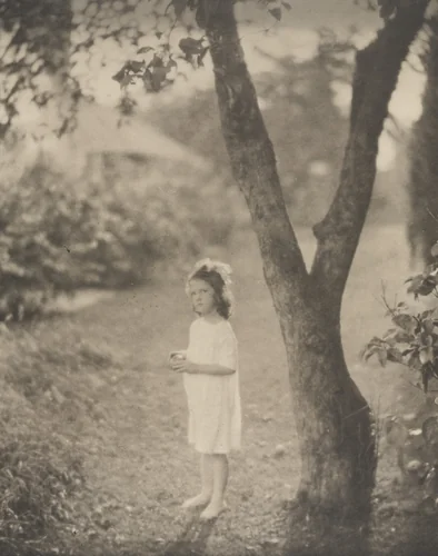 Florence Meyer (Florence Homolka) by Edward Steichen, photograph, 1915