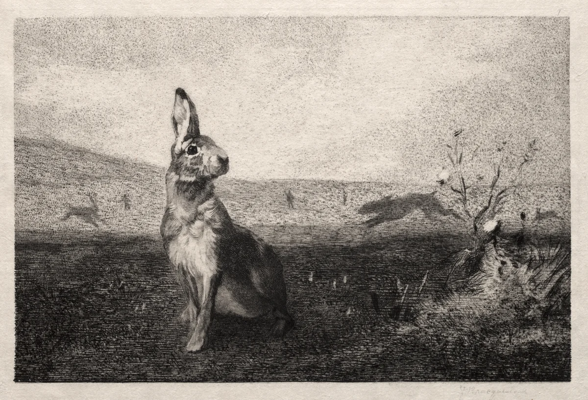 The Hare (after A. de Balleroy) by Félix Bracquemond, print, 1865