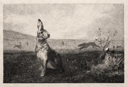The Hare (after A. de Balleroy) by Félix Bracquemond, print, 1865