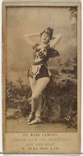 Card Number 341, Mary Cawley, from the Actors and Actresses series (N145-3) issued by Duke Sons & Co. to promote Cross Cut Cigarettes by W. Duke, Sons & Co., photograph, 1880-1889