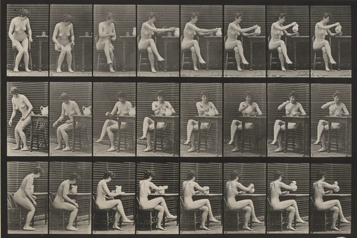Plate Number 244. Sitting, crossing legs and filling a goblet from a pitcher by Eadweard Muybridge, photograph, 1887