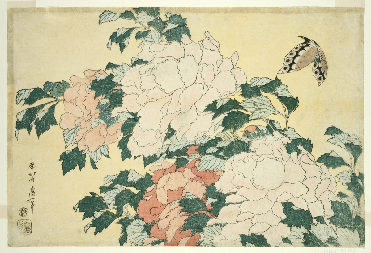 Peonies and Butterfly, from an untitled series of large flowers by Katsushika Hokusai (葛飾 北斎), print, 1827-1839