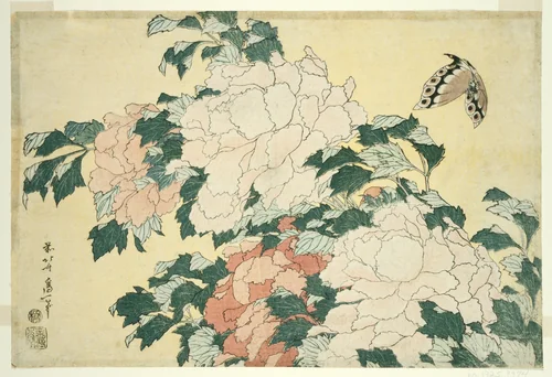Peonies and Butterfly, from an untitled series of large flowers by Katsushika Hokusai (葛飾 北斎), print, 1827-1839