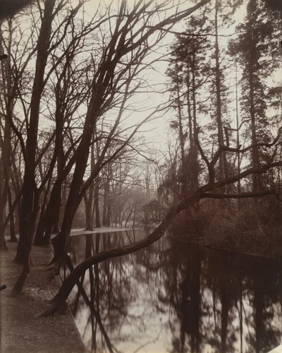Bois de Boulogne by Eugène Atget, photograph, 1923