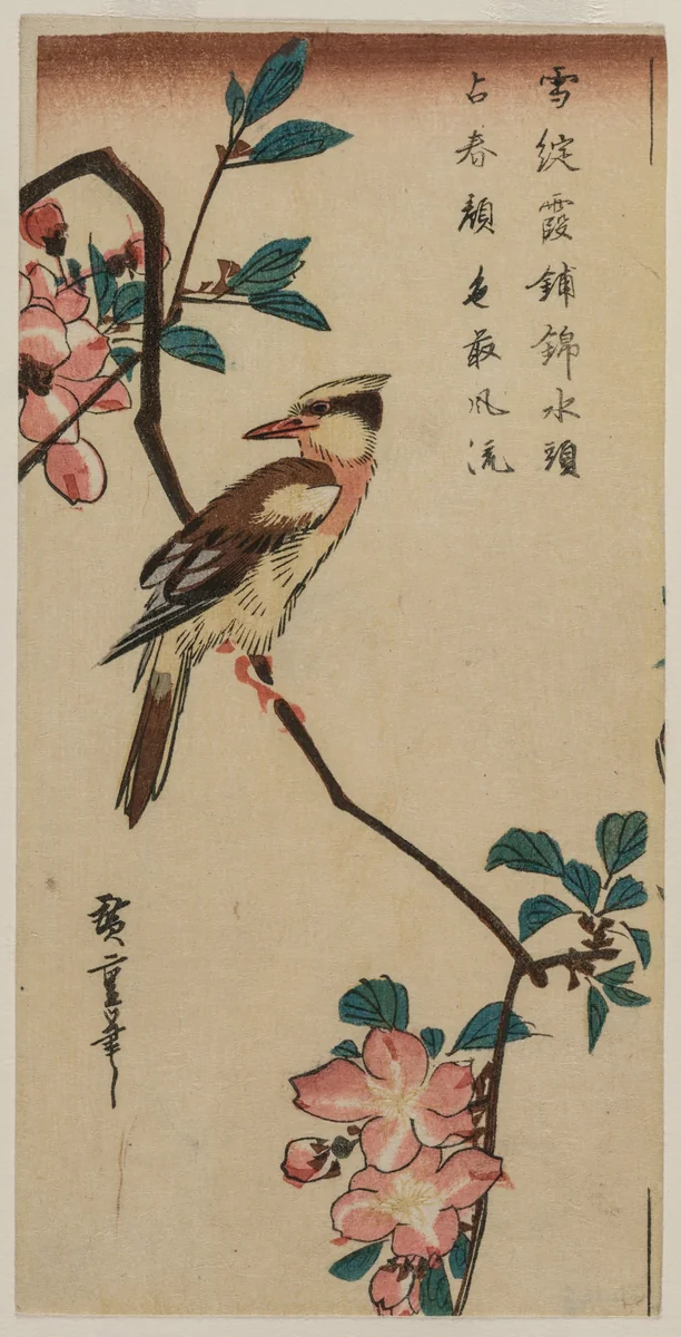Black-Naped Oriole (Korean Warbler) on a Hall Crabapple by Utagawa Hiroshige (歌川広重), print, 1832-1835