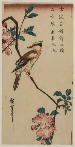 Black-Naped Oriole (Korean Warbler) on a Hall Crabapple by Utagawa Hiroshige (歌川広重), print, 1832-1835