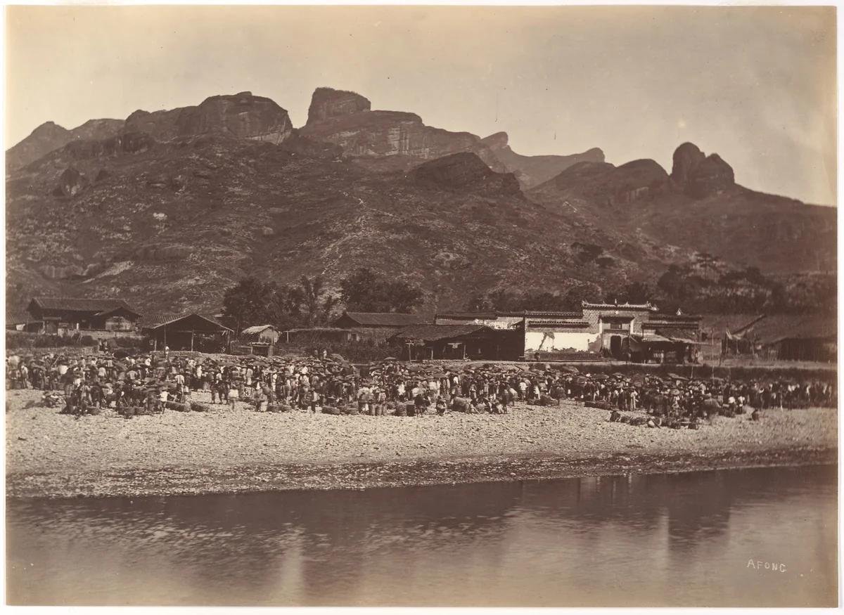 Duck Market by Lai Afong, photograph, 1869