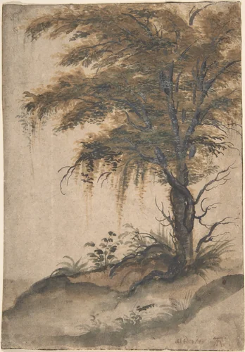 Study of a Tree by Marten van Valckenborch, drawing, 1550-1612