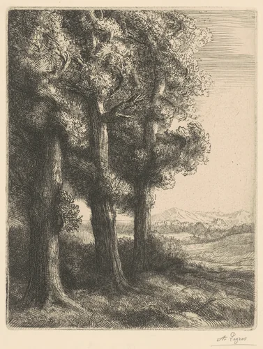 Corner of a Wood (Coin d'un Bois) by Alphonse Legros, print, 1877-1887