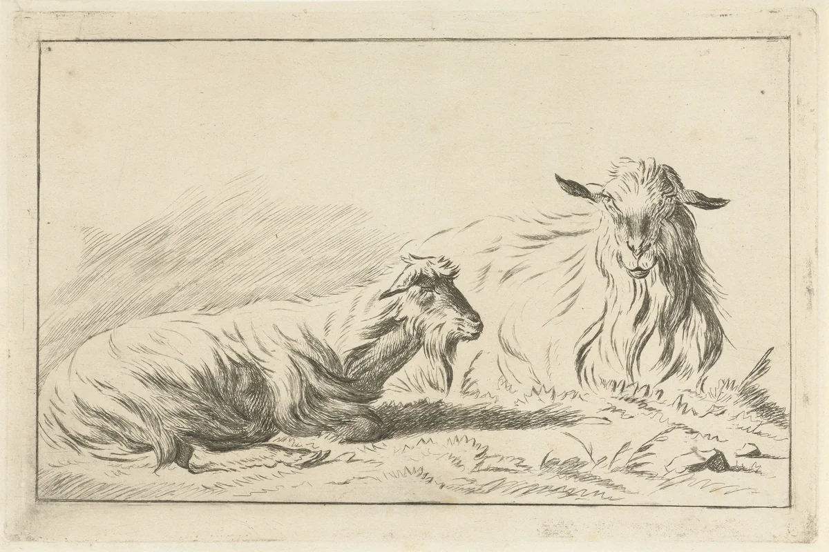 Twee liggende geiten by Jacobus Cornelis Gaal, print, 1860