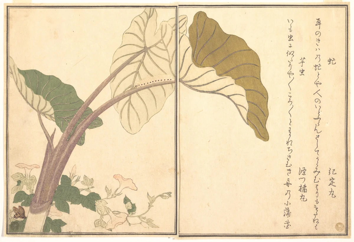 Horsefly (abu); Green Caterpillar, imomushi, from the Picture Book of Crawling Creatures (Ehon mushi erami) by Kitagawa Utamaro (喜多川歌麿), print, 1788
