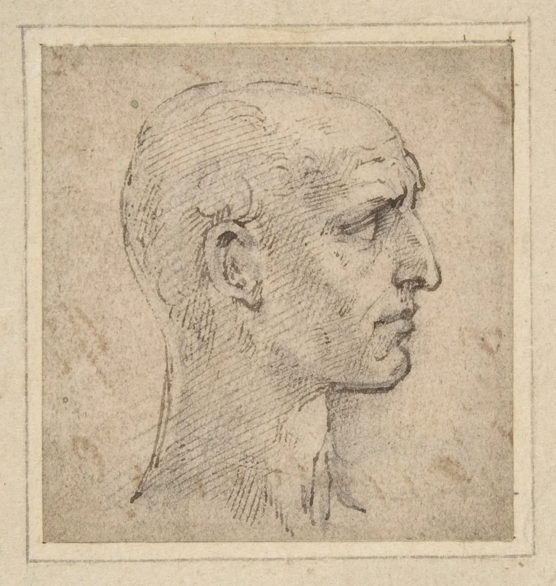 Head of a Man in Profile to Right by Parmigianino, drawing, 1503-1540
