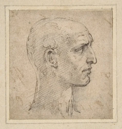 Head of a Man in Profile to Right by Parmigianino, drawing, 1503-1540
