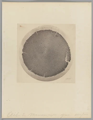 [Untitled] by Auguste-Adolphe Bertsch, photograph, 1853-1857