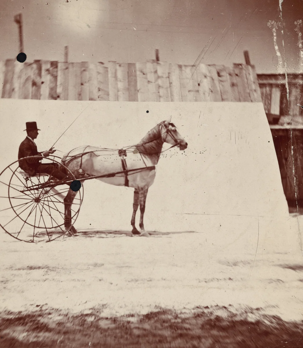Detail of the Track at Leland Stanford's Horse Farm in Palo Alto by Eadweard Muybridge, photograph, 1879