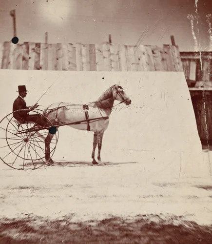 Detail of the Track at Leland Stanford's Horse Farm in Palo Alto by Eadweard Muybridge, photograph, 1879