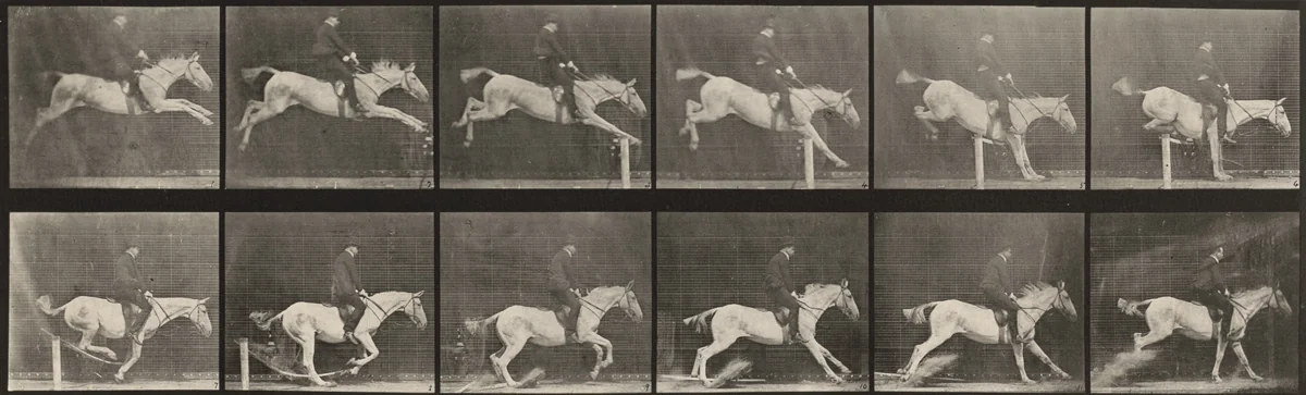 Plate Number 641. "Pandora" jumping a hurdle, saddled, knocking over the hurdle and landing by Eadweard Muybridge, photograph, 1887