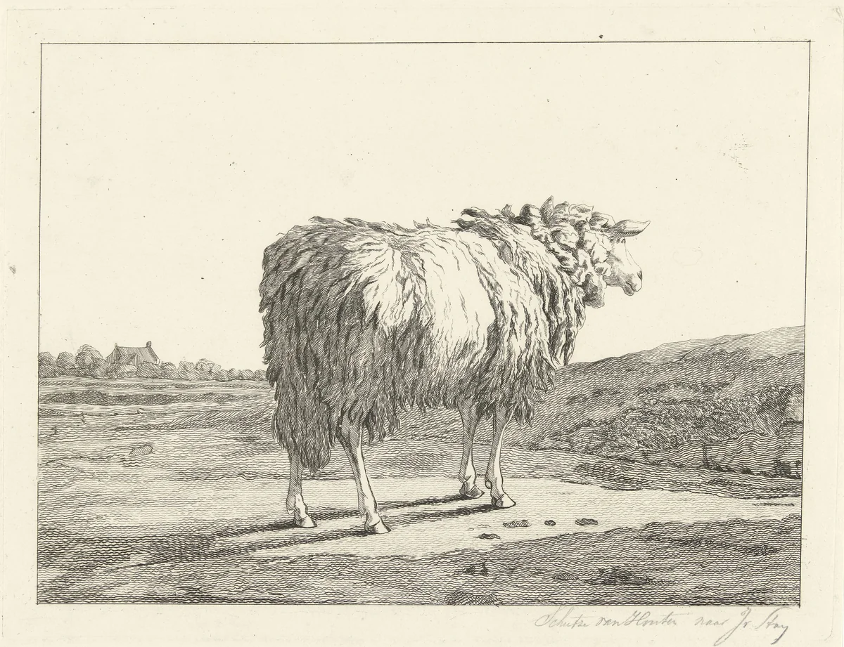 Schaap in een landschap by Christiaan Godfried Schutze, print, 1821-1869