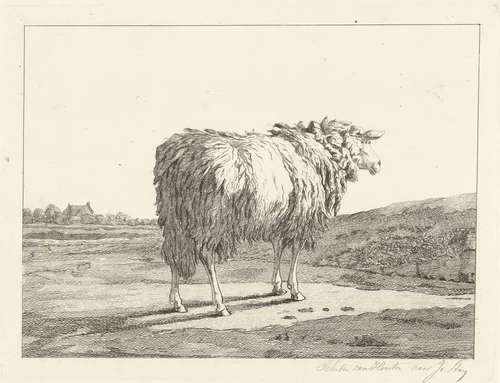 Schaap in een landschap by Christiaan Godfried Schutze, print, 1821-1869