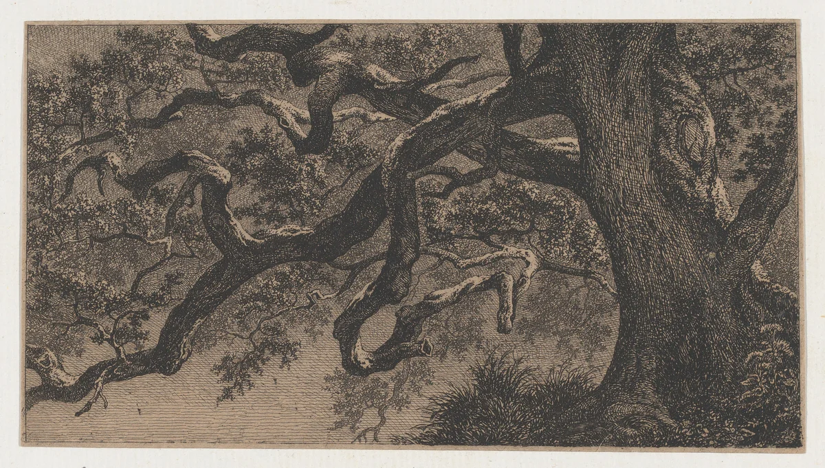 The Branches of an Oak Tree by Eugène Bléry, print, 1832-1842