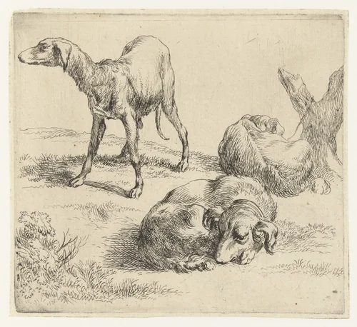 Drie honden by Nicolaes Pietersz Berchem, print, 1648-1652