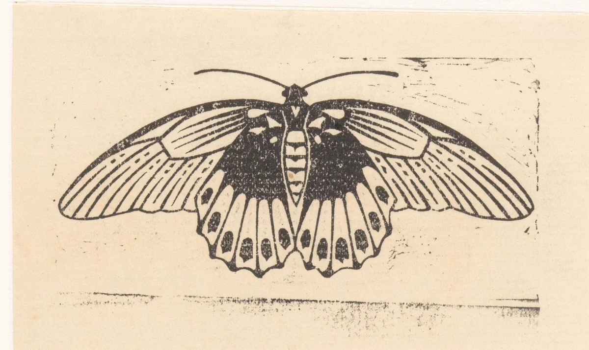 Vlinder by Julie de Graag, print, 1901