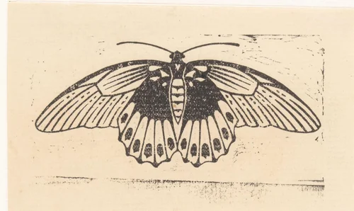 Vlinder by Julie de Graag, print, 1901