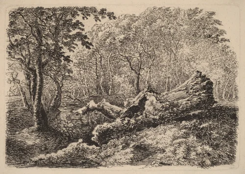 Mouldering Tree Trunk by Johann Georg von Dillis, print, 1794