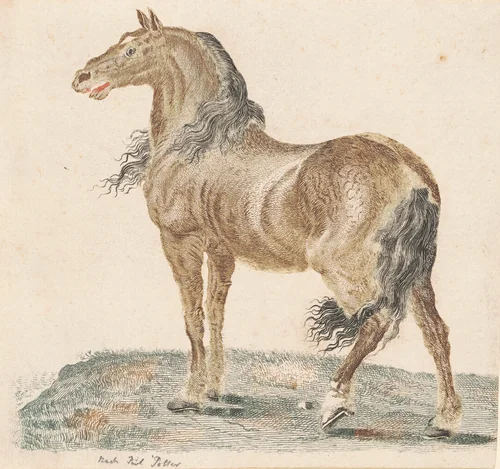 The Neighing Horse by Johann Teyler; Paulus Potter, print, 1685-1697