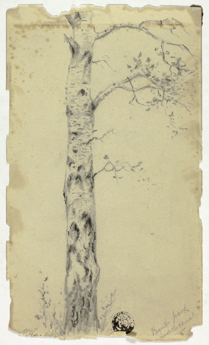 Regent Park Near the Canal by Hendrik Pieter Koekkoek, drawing, 1872-1883