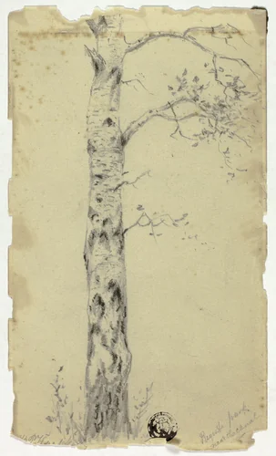 Regent Park Near the Canal by Hendrik Pieter Koekkoek, drawing, 1872-1883