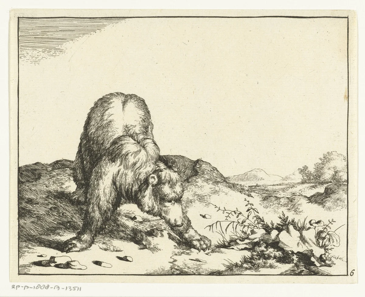 Staande beer, van voren, de voorpoten wijd uiteen by Marcus de Bye, print, 1664